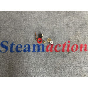 Steamaction Thermostat